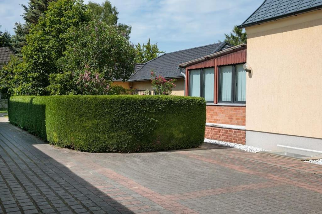 Charmantes Townhaus Mit Garten, W-Lan & Netflix Potsdam Eksteriør billede
